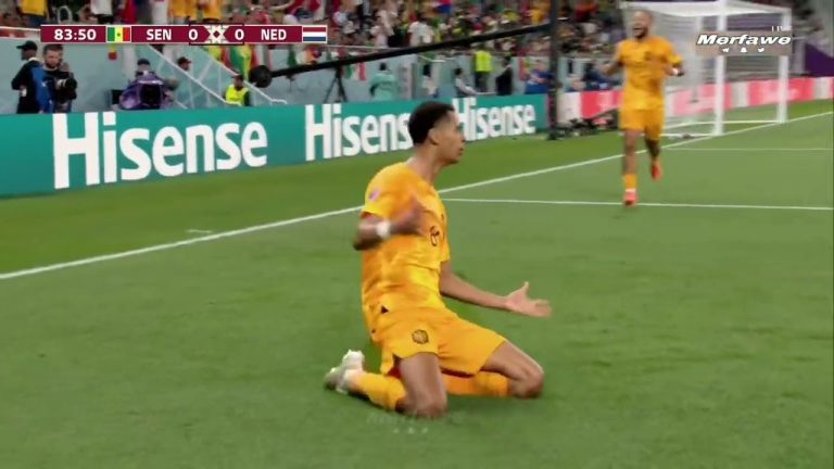 أهداف مباراة السينغال 0-2 هولندا (كأس العالم)
