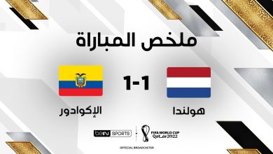 أهداف مباراة هولندا 1-1 إكوادور (كأس العالم)