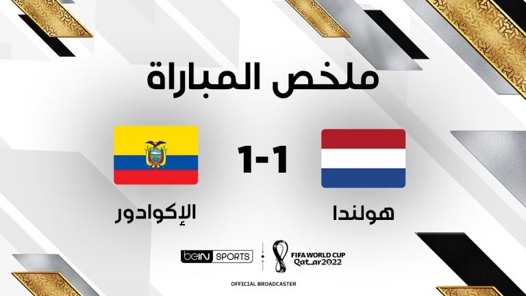 أهداف مباراة هولندا 1-1 إكوادور (كأس العالم)