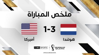 ملخص مباراة هولندا 3-1 أمريكا (ثمن نهائي كأس العالم)