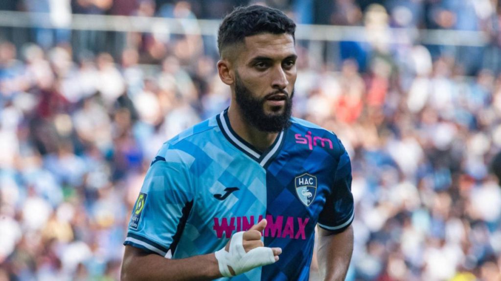 نبيل عليوي ينتقل للدوري السعودي