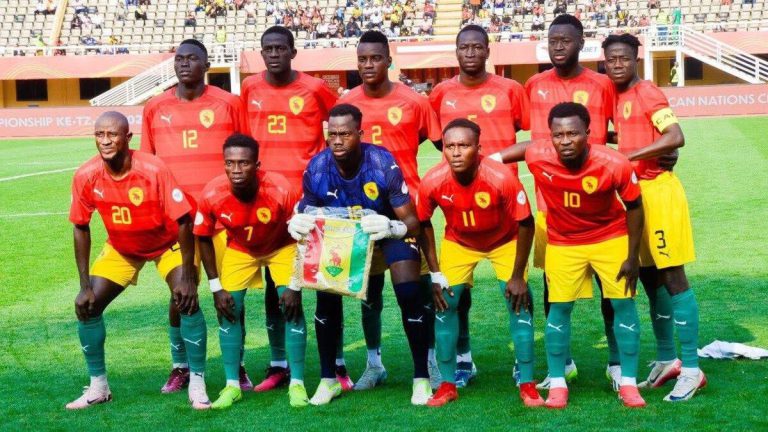 كأس أفريقيا للمحليين .. جنوب أفريقيا تفوز على غينيا بهدفين