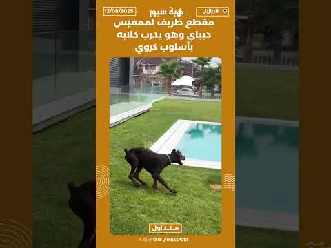 مقطع ظريف لممفيس ديباي وهو يدرب كلابه بأسلوب كروي🐶⚽️