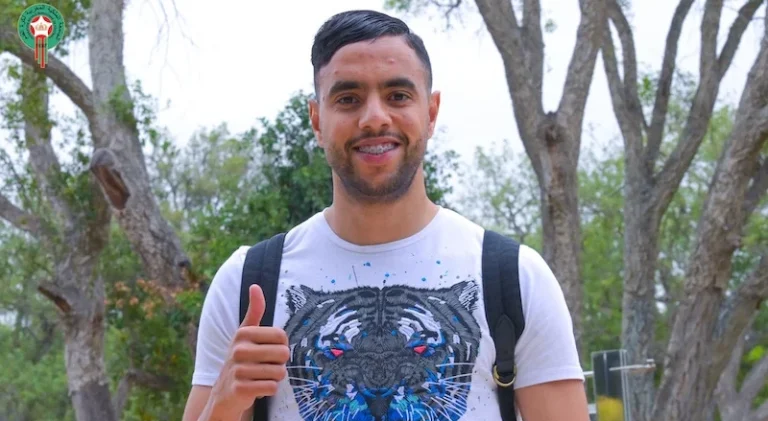 محمد الشيبي