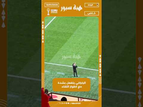 الركراكي ينفعل بشدة مع اطوار اللقاء