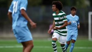 زيد بافضيلي