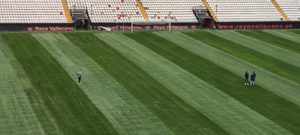 أرضية الملعب