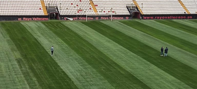 أرضية الملعب