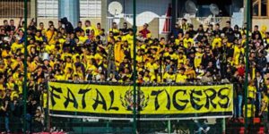 الفاتال تايغرز