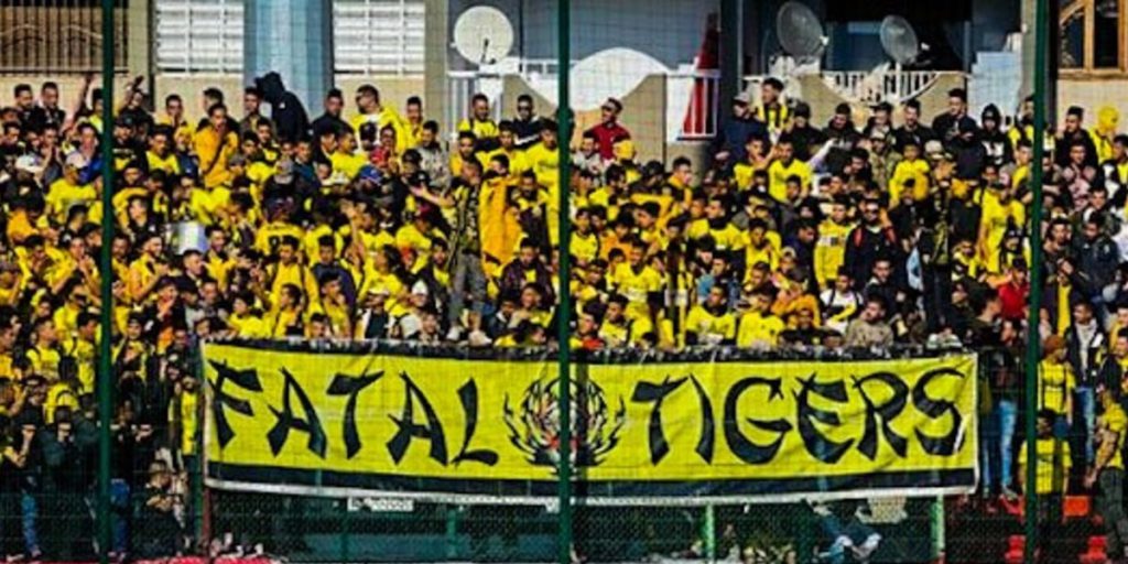 الفاتال تايغرز