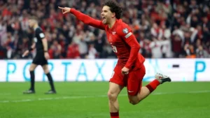 منتخب تركيا