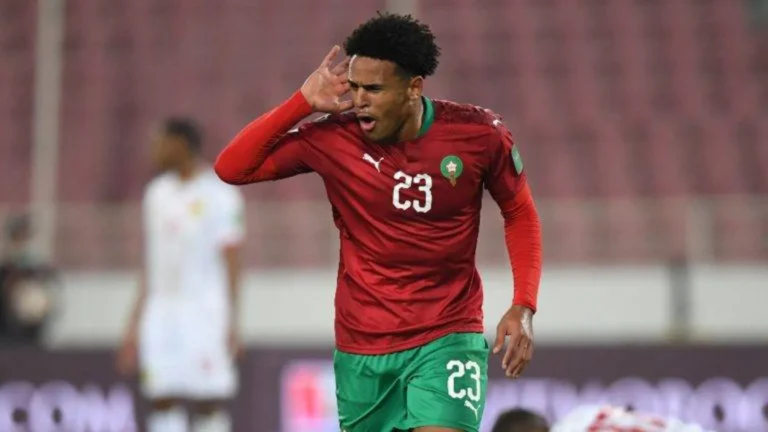 ريان مايي