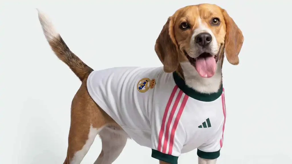 أديداس تفاجئ الجماهير.. ريال مدريد يطلق قميصًا رسميًا للكلاب