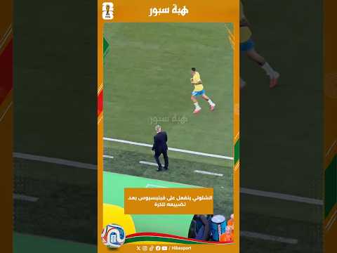 انشلوتي ينفعل على فينيسيوس بعد تضييعه للكرة